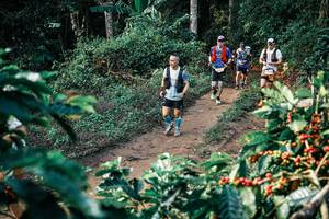 BIB: 
                            <button type="button" onclick="openModal(25837159)" class="btn btn-primary btn-sm float-right btn-popup" data-toggle="modal" data-target=".modal-high-quality">
                        <i class="fas fa-shopping-cart"></i> Add to Cart
                    </button>
                                            <button type="button" onclick="isThisMe(25837159, true)" class="btn btn-success btn-sm float-right btn-popup btn-isme hidden" data-toggle="tooltip" data-placement="bottom" title="นี่คือรูปของคุณใช่ไหม คลิกที่นี่เพื่อเอาเข้าอัลบั้ม">
                        <i class="fas fa-plus"></i> Add to album
                    </button>
                    <button type="button" onclick="isThisMe(25837159, false)" class="btn btn-warning btn-sm float-right btn-popup btn-isnotme hidden">
                        <i class="fas fa-ban"></i> Remove from album
                    </button>